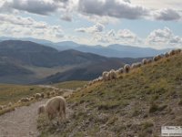 2022-10-04 Dal Redentore al Vettore 511